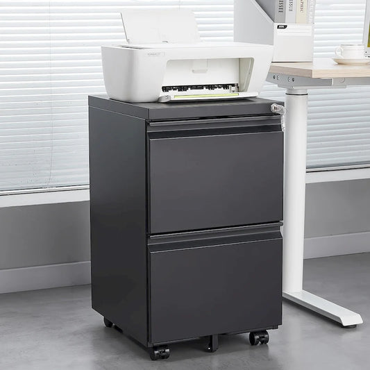 2 Drawer File Cabinet with Lock, Metal Mobile Filing Cabinet