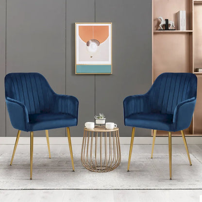 Velvet Accent Dining Chairs with Gold Metal Legs Set of 2
