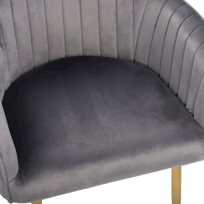 Velvet Accent Dining Chairs with Gold Metal Legs Set of 2