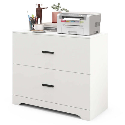 2 Drawer Lateral File Cabinet Printer Stand with Adjustable Bars