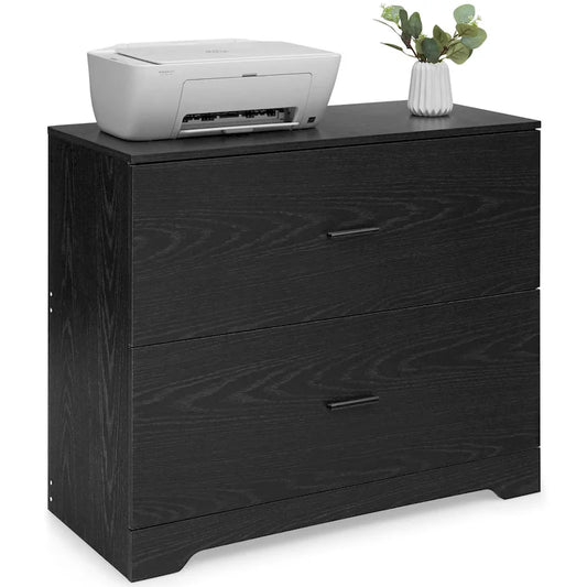 2 Drawer Lateral File Cabinet Printer Stand with Adjustable Bars