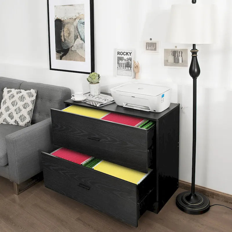 2 Drawer Lateral File Cabinet Printer Stand with Adjustable Bars