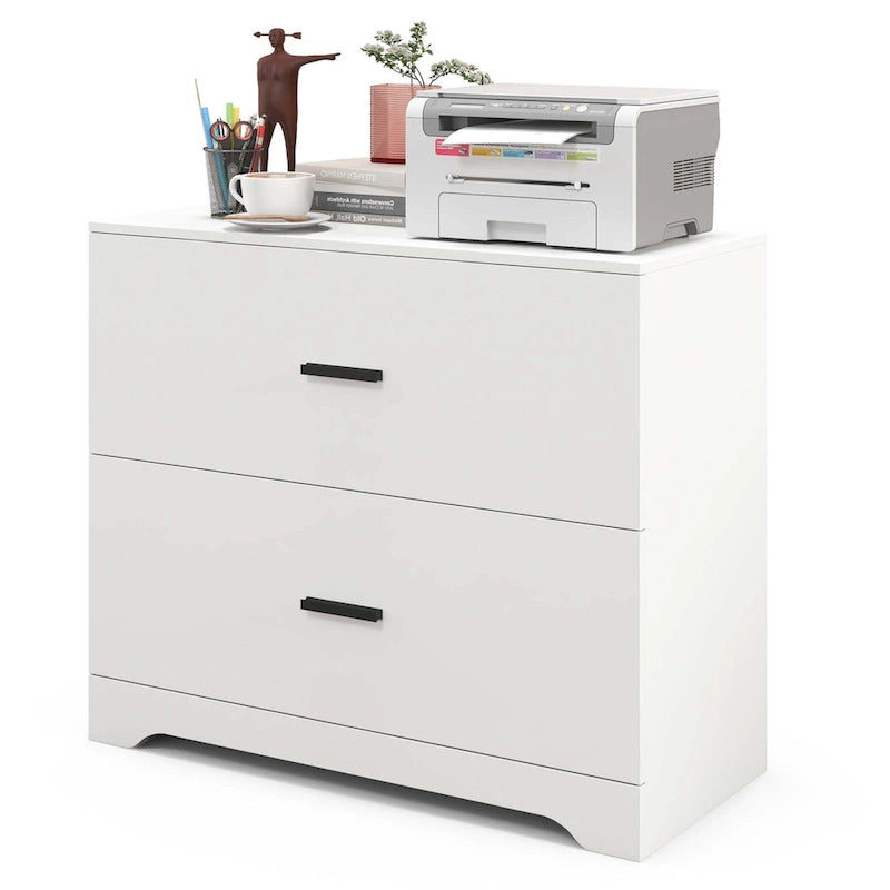 2 Drawer Lateral File Cabinet Printer Stand with Adjustable Bars
