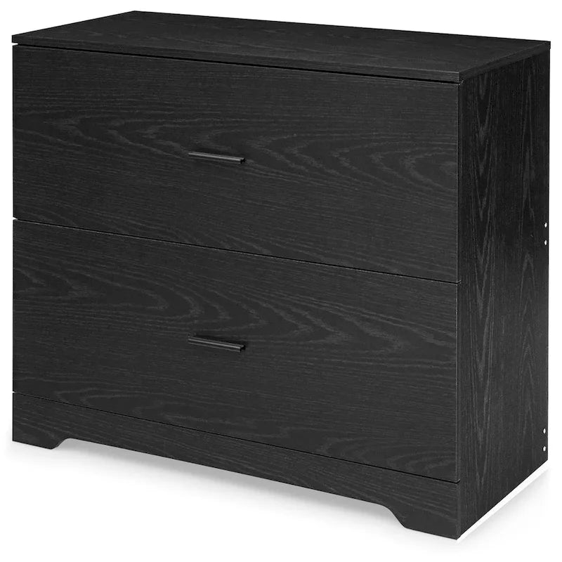2 Drawer Lateral File Cabinet Printer Stand with Adjustable Bars