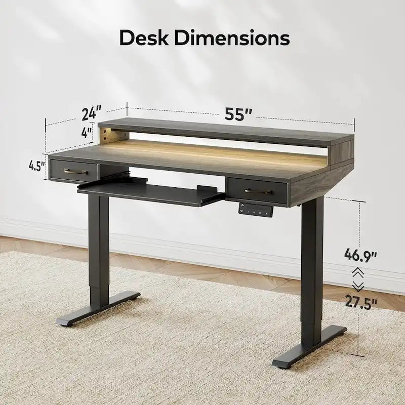 FEZIBO Height Adjustable Electric Standing Desk with Double Drawers&Keyboard Tray, Stand Up Desk with LED Strips