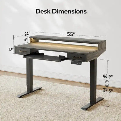 FEZIBO Height Adjustable Electric Standing Desk with Double Drawers&Keyboard Tray, Stand Up Desk with LED Strips