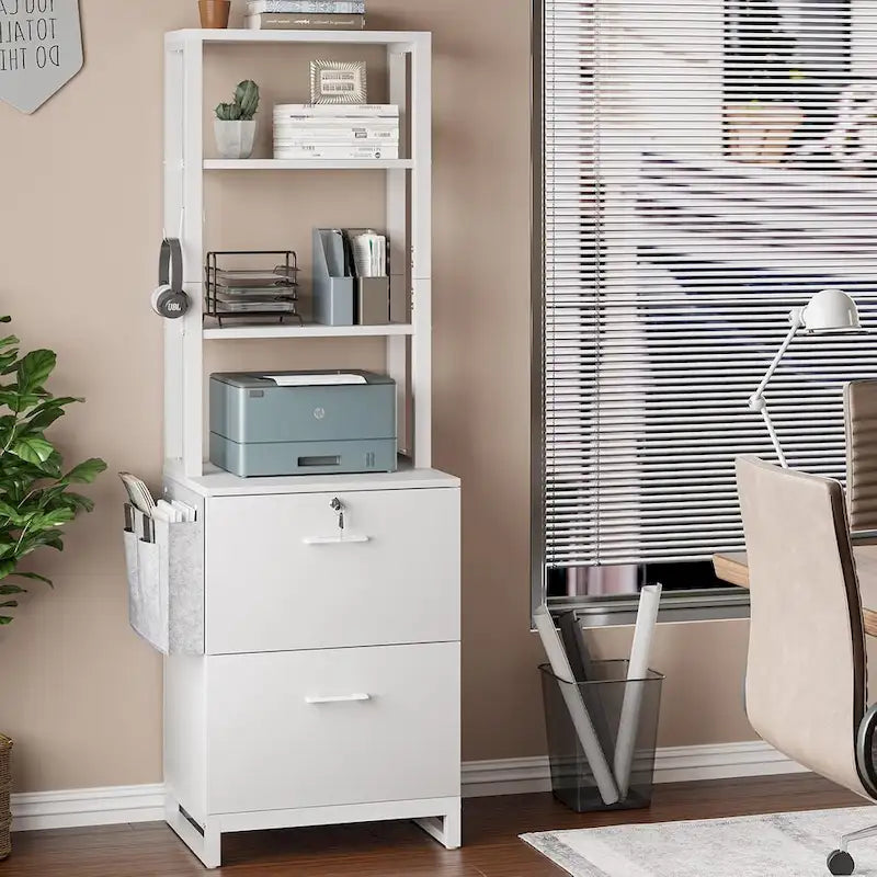 File Cabinet 2 Drawer Lock Filing Cabinet Printer Stand Bookshelves