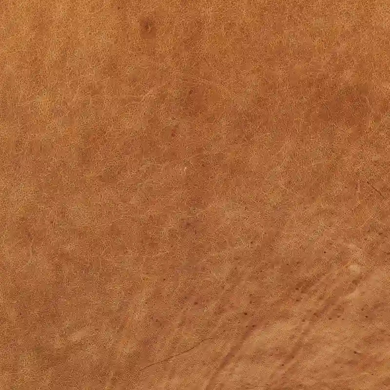 Poly and Bark Lyon Lounge Chair - Genuine Italian Leather