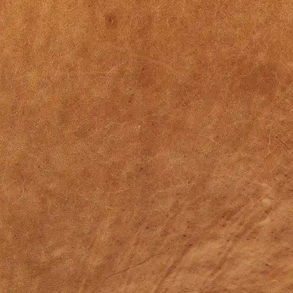 Poly and Bark Lyon Lounge Chair - Genuine Italian Leather